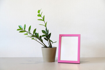 Mock up minimalist home interior with empty pink photo frame and potted green house plant