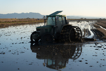 Tractor in a flooded rice field preparing soil for the harvest in the natural park of Albufera,...