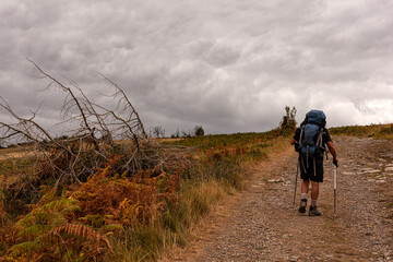 Fototapeta premium Pilgrim walking on the path of Way of St James called Chemin du Puy, France