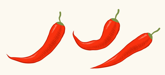 Vector illustration of chilli pepper in engraving style. Vector icon of red chili pepper on isolated background in retro style. Extra spicy food.