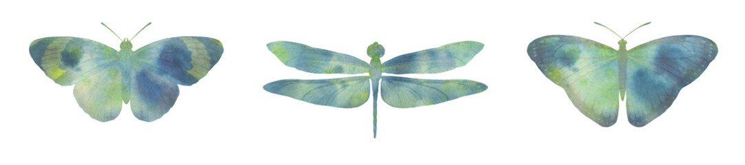 Fototapeta na wymiar set of watercolor butterflies and dragonfly. collection of butterflies for design