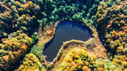 Top view of the lake in the colorful forest in autumn. Trees and lake in autumn.