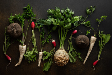 Parsley and selera roots with tops, black and red radish close-up on a brown background, top view, healthy autumn seasonal roots, copy space