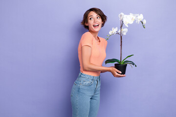 Photo portrait of cute young lady hold orchid look excited empty space dressed stylish striped clothes isolated on purple color background - obrazy, fototapety, plakaty