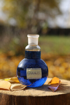 Aqueous solution of the blue organic dye indigo carmine in a round flask is on an oak stump.