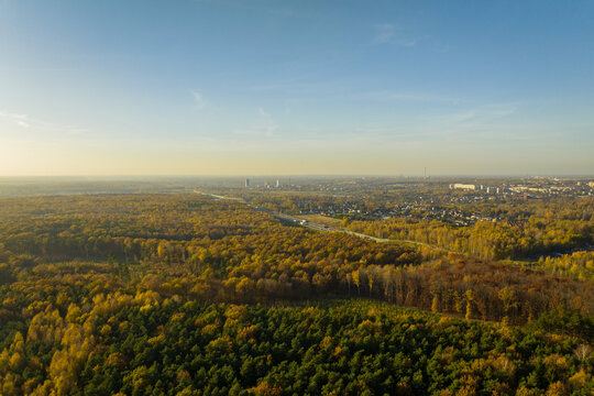 RUDA ŚLĄSKA - A4 motorway - Silesia - beautiful forest