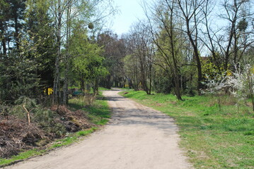 Fototapeta na wymiar winding road in the park, a clear day in April