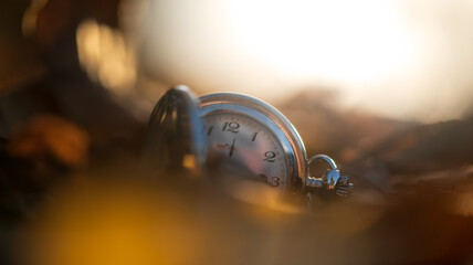 Taschenuhr wird in der Herbstabendsonne von Laub umrahmt.