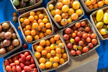 Multicolored tomatoes, pattern of yellow, red and orange cherry tomatoes