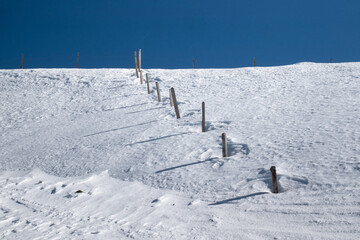 blue sky, white snow, row of wooden poles with shadows