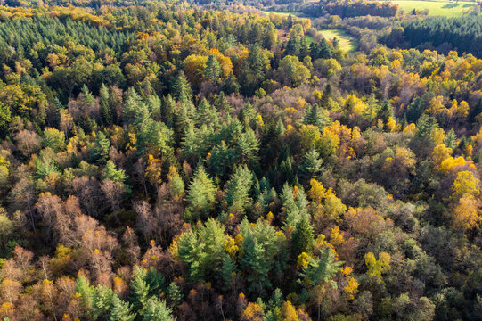 une for&ecirc;t de feuillus et sapin dans le Morvan en Bourgogne