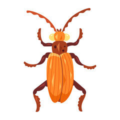 Isolated colored cockroach bug icon with details Vector