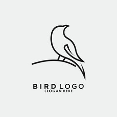 bird logo design with creative concept