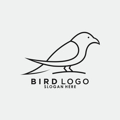 Fototapeta na wymiar bird logo design with creative concept