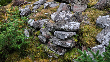 Carn bran broch
