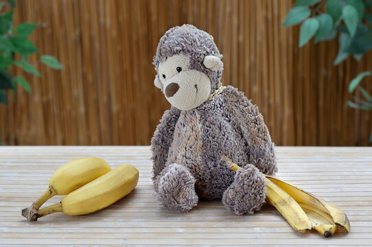 Toy monkey ogling at bananas