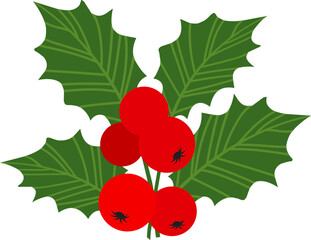 Holly berry vector icon, Christmas mistletoe and leaf, red ilex branch, cartoon xmas plant isolated on white background. Holiday nature illustration