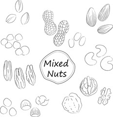 ナッツのイラストセット　モノクロ線画　文字なし