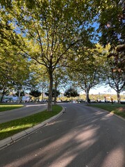 Park at Ouchy, Switzerland  