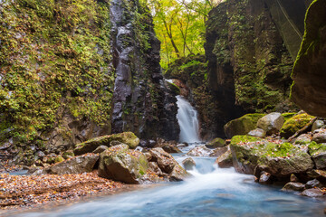 紅葉ののスッカン沢 雄飛の滝