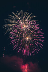 Fototapeta premium fireworks in the sky