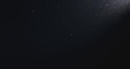 Natural Organic Dust Particles Floating On Black Background. Glittering Sparkling Particles Randomly Spin In The Air With Bokeh. Particles Shimmering In Space