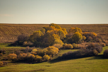 autumn landscape in the countryside
