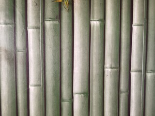 wall with green bamboo background