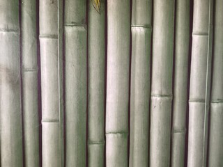 wall with green bamboo background