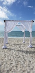 future beach wedding