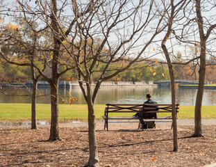 Man sitting on a bench looking down at something out of view. The bench overlooks a lake. Bare branches of trees with a few orange leaves left are behind him. A bridge can be seen across the water.