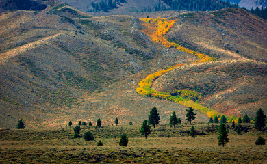 River of Color