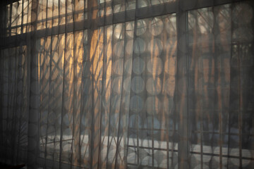 Curtains on window in sunlight. Transparent tulle closes window. Evening light in interior.