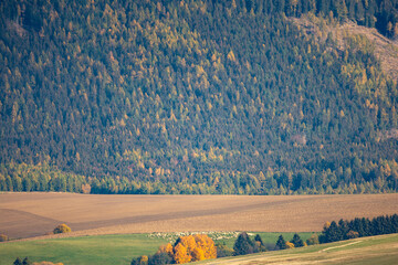 autumn landscape in the mountains,  West Tatras, Slovakia