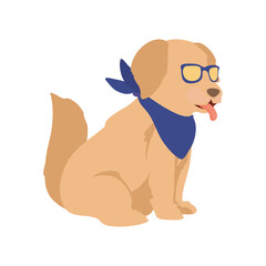 dog with glasses