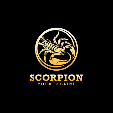 Scorpion logo icon design template