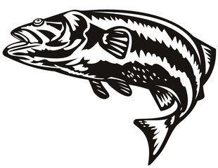 illustration of a largemouth bass jumping done in retro style