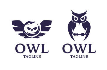 Owl bird logo, education owl, wise owl logo design