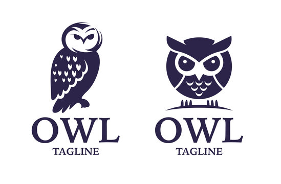 Owl bird logo, education owl, wise owl logo design