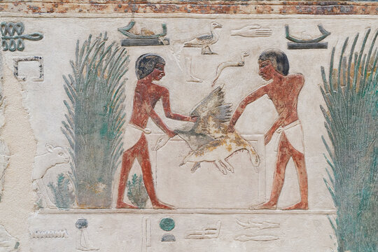 bemaltes ägyptisches Relief aus Kalkstein aus dem alten Reich, 5. Dynastie mit einer landwirtschaftlichen Szene