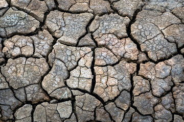Dry soil surface with deep cracks textured background. Dried and cracked soil. Climate change....