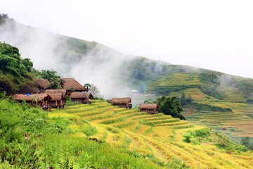 Fototapeta na wymiar Terraced rice field in Sapa, Vietnam. The terraced rice paddy-fields in Sapa are the most beautiful ones in Vietnam