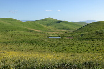 Rainwater forms a small pond in the hills to the distance, San Ramon, California
