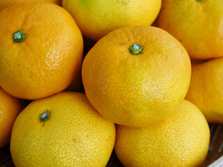 신선한 유기농 과일 귤