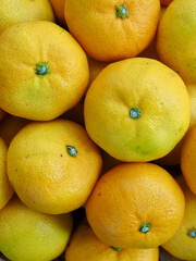 신선한 유기농 과일 귤