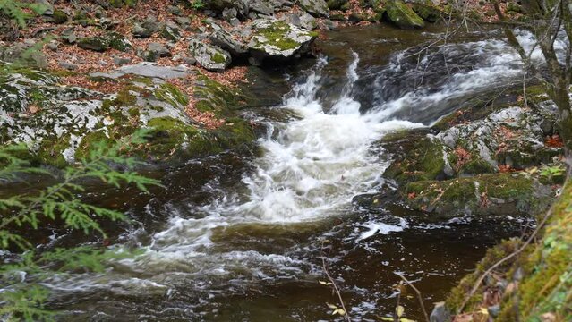 Cascades in the Middle prong of the Little Pigeon River in Great Smoky Mountains, TN, USA (4K/24p)