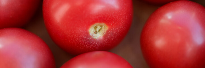 Ripe juicy healthy tomatoes in a box closeup