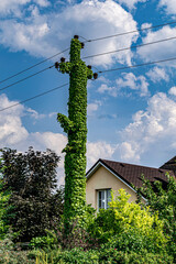house in the mountains