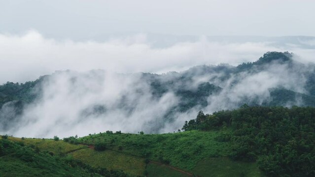 4k fog in the mountains,Nature view of mountain in Morning,Landscape nature and travle.