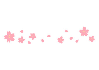 桜のライン
